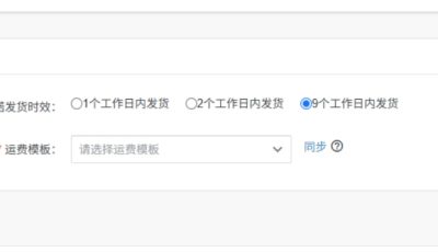 店小秘ERP接入Temu美区半托管国内直发模式（重磅消息）